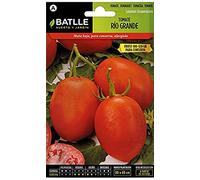 Semillas Batlle Semences de tomates Rio Grande