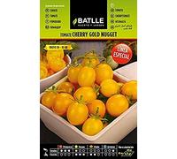 Semillas Batlle Semences de tomates spéciales Jaune Golden Nugget