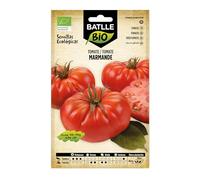 Semillas Ecológicas - Tomate Marmande Raf (85 Seeds - Bio), Vert