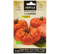 Semillas Ecológicas - Tomate Marmande Raf (85 Seeds - Bio), Vert