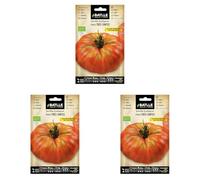 Semillas Ecológicas - Tomate Tres Cantos Gigante Rosa (0,5g) (Lot de 3)