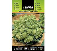 Semillas hortícolas de Batlle - Bróculi Romanesco Natalino (4g)