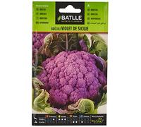 Semillas hortícolas de Batlle - Bróculi Violet de Sicile (Seeds)