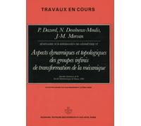 Séminaires sud-rhodaniens de géométrie: Volume VI. Aspects dynamiques et topologiques des groupes infinis de transformation de la mécanique