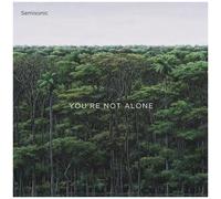 Semisonic - You're Not Alone [Vinyl]