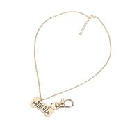 Semme Collier Commémoratif en Alliage d'os de Chien pour Propriétaire d'animal de Compagnie, avec 2 Pendentifs Fendus, pour les Amoureux des Animaux de Compagnie (boîte à souvenirs urne pour