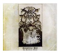 Sempiternal Past