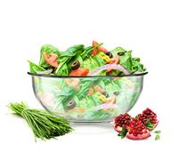 Sendez Grand saladier de 3 l, diamètre 27 cm, résistant à la chaleur