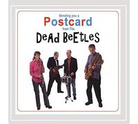 Sending You a Postcard from The Dead Beetles