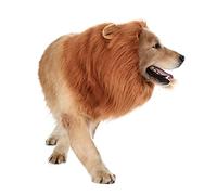 SENECESLI Costume de Crinière de Lion pour Chien, Perruque de Crinière de Lion avec Bandeau élastique Réglable et Queue pour Halloween, Noël, Fête pour Animaux de Compagnie