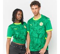 Senegal 2026 Home Jersey vert M