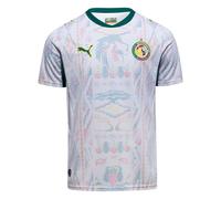 Puma T-shirt fonctionnel Senegal 2026 bleu ciel/vert gazon/rose/blanc Taille L