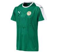 Puma Senegal Away Shirt SS Replica Maillot Homme Pepper Green-Puma White FR : S (Taille Fabricant : S)
