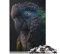 Senegal Parrot Puzzle 1000 Pièces Educa Jouet en Bois Cadeau Unique Décoration Intérieure Jeu Éducatif Challenge Toy pour Adultes Et Enfants À Partir De 12 Ans 1000pcs (75x50cm)