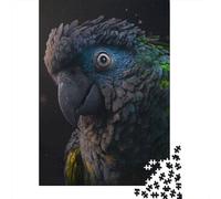 Senegal Parrot Puzzle Adulte De 1000 Pièces, 38x26cm/1000pcs, À Terminer Petit À Petit À La Maison; Carton Blanc pour Un Tri Organisé