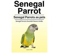 Senegal Parrot. Senegal Parrots As Pets. Senegal Parrots Essential Owners Guide.
