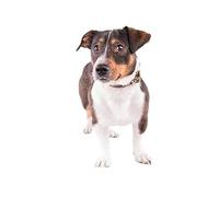 Support Frontal D'entraînement de Vision de Type H, Accessoires D'optométrie de Support Frontal de Mentonnière, pour mMgasins D'optique, Centre de Soins de la Vue