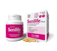 Senilife® Plus, pour le bien-être du cerveau des chiens et des chats âgés - améliore les fonctions cognitives et la mémoire pour un vieillissement cérébral réussi - 60 gélules unidose