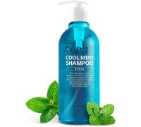 Senior-Cool Mint Shampooing Pour Cheveux Secs, 500 Ml, Soulagement, Menthol Glacé, Menthe Poivrée Fraîche, Contrôle De La Graisse, Nettoyage Des Pores, Apaisant Pour Le Cuir Chevelu, Sans Sulfate[L969