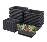 SENJEOK Lot de 20 pots d'entraînement rectangulaires en plastique pour bonsaï intérieur ou extérieur 16,5 x 12 x 6 cm