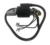 Senmubery Bobine D'Allumage de Moto pour G150 G200 G300 G400 30500-887-303 30560-883-015