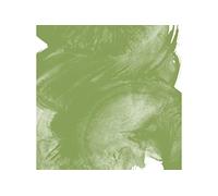 Aquarelle Extra-Fine 1/2 Godet Terre Verte Naturelle Sennelier G