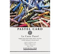 Sennelier La Carte Bloc pastel, 22,9 x 30,5 cm, multicolore