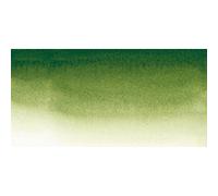 Sennelier l'Aquarelle Watercolour Whole Pan S1 - Sap Green (819)