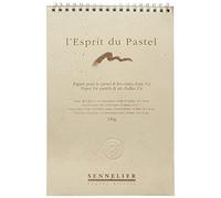 Sennelier - L'Esprit du Pastel - Bloc 25 Feuilles - 16 x 24 cm - Papier GRIS à Grains avec Feuilles Cristal Intercalaires