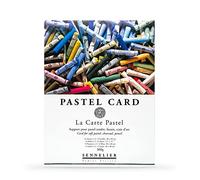 Sennelier Bloc Pastel sec Card Papier grain fin 40 x 30 cm 12 feuilles 6 couleurs assorties 360gs