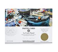 SENNELIER Pochette en carton pastel La Carte - 40 x 27,9 cm - Monochromatique - Gris clair