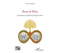 Sens et Dieu Introduction à la Phénoménologie de Dieu - Ali Sait Sadikoglu - L'harmattan - broché - Essai