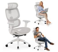 SENSE7 Nobu Chaise de Bureau Ergonomique - Soutien Dorsal Innovant, Accoudoirs 3D Réglables, Fonction Bascule, Dossier en Maille Respirante, Posture Saine, Confort Longue Durée, Travail & Gaming
