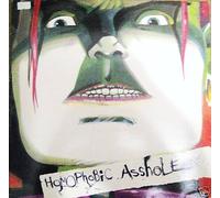 SENSELESS THINGS - SENSELESS THINGS - 12"Single - Homophobic Asshole/Body Bag/Just Flirting,EX+
