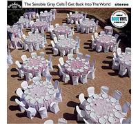 Sensible Gray Cells - Get Back Into The World [Vinyl]