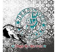 Sensitives,the - Dogs on The Run [Import]