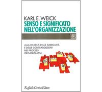 Senso e significato nell'organizzazione. Alla ricerca delle ambiguità e delle contraddizioni nei processi organizzativi