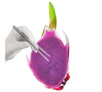 Sensory Fidget - 18x10cm, Jouet À Boutons, Soulagement Du Stress | Simulateur De Fruits Du Dragon Réutilisable, Jouet Fidget À Boutons À Presser Pour Améliorer La Concentration, Travailleurs Adultes E