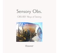 Sensory Obs.: OBS-001 Ways of Seeing
