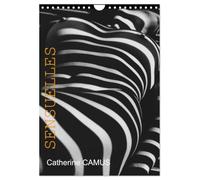 Sensuelles (Calendrier mural 2027 DIN A4 horizontal), CALVENDO calendrier mensuel: Nus féminins dont la moitié avec jeux d'ombres