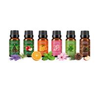 Senteurs de Noël pour la Fabrication de Bougies Liquides désodorisants | Huile pour Diffuseur de Noël Pour la Maison, la Voiture, la Pièce, la Salle de Bains, la