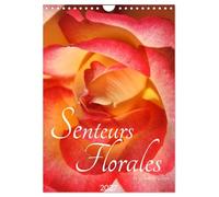 Senteurs florales (Calendrier mural 2027 DIN A4 horizontal), CALVENDO calendrier mensuel: À chaque saison sa senteur et sa couleur