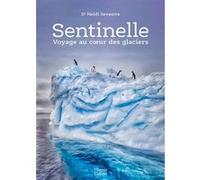 Sentinelle, voyage au coeur des glaciers