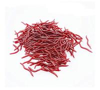 Senven Ver terre artificiel Appâts Biomimetic Soft Silicone La Pêche Leurres Simulation Rouges en plastique Vert Environnement Fort Tentation Appât Faux RedWorm - 100Pcs