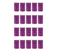 SENZEAL 20 Pièces Bouchon Valve Pneu Voiture en Aluminium Universel Style Rond Capuchon de Valve Auto Bouchons de Tige de Valve de Pneu pour Voiture Camion Moto Vélo (Violet)