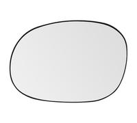 SENZEAL Verre de Rétroviseur Remplacement pour Citroën C2 C3 Pluriel Xsara Picasso Peugeot 1007 206 Chauffant Retroviseur Extérieur (Gauche)