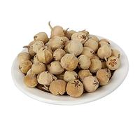 SEP VS Products Paneer Flower l Paneer Doda Phool pour le diabète | Chénette indienne, 50 g