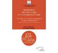 Séparation des pouvoirs et contre-pouvoirs: Actes des 1ères journées scientifiques de droit constitutionnel Palais des Congrès de Niamey, du 10 au 13 octobre 2017