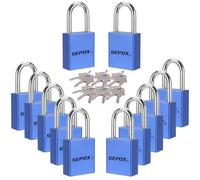 SEPOX® Lot de 12 cadenas d'extérieur à clé identique avec la même clé 38 mm de long en aluminium - Bleu - Chaque cadenas avec 2 clés pour portail, rangement, clôture