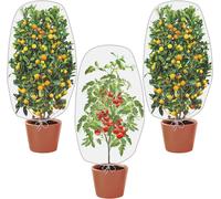 SEPT-Filet Arbre Fruitier,Filet de Protection Fruitier,3 Pi¿¿ces Sac de Plantes avec Cordon de Serrage,Anti-Insectes Couverture, Maille Fine Maille pour la Protection des L¿¿gumes et Fruits 100X80CM